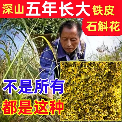 石斛花深山纯野铁皮石斛花纯天然中药材干花新鲜官方正品霍山正宗