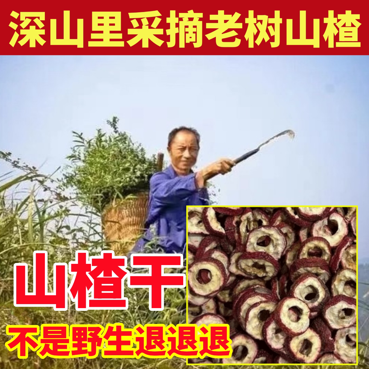 山楂深山纯野生山楂干纯天然中药材山楂中心圈正宗去籽山楂片泡水