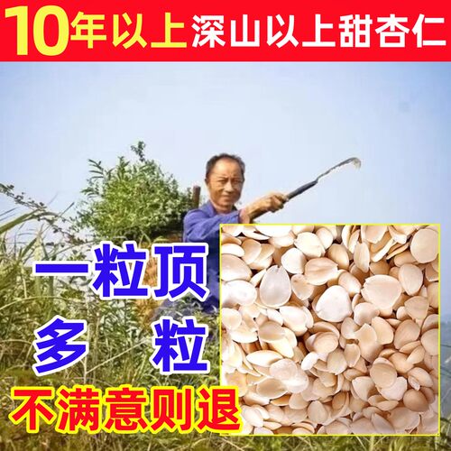 杏仁深山纯野生甜杏仁纯天然中药材正宗坚果原味无添加去皮南杏仁