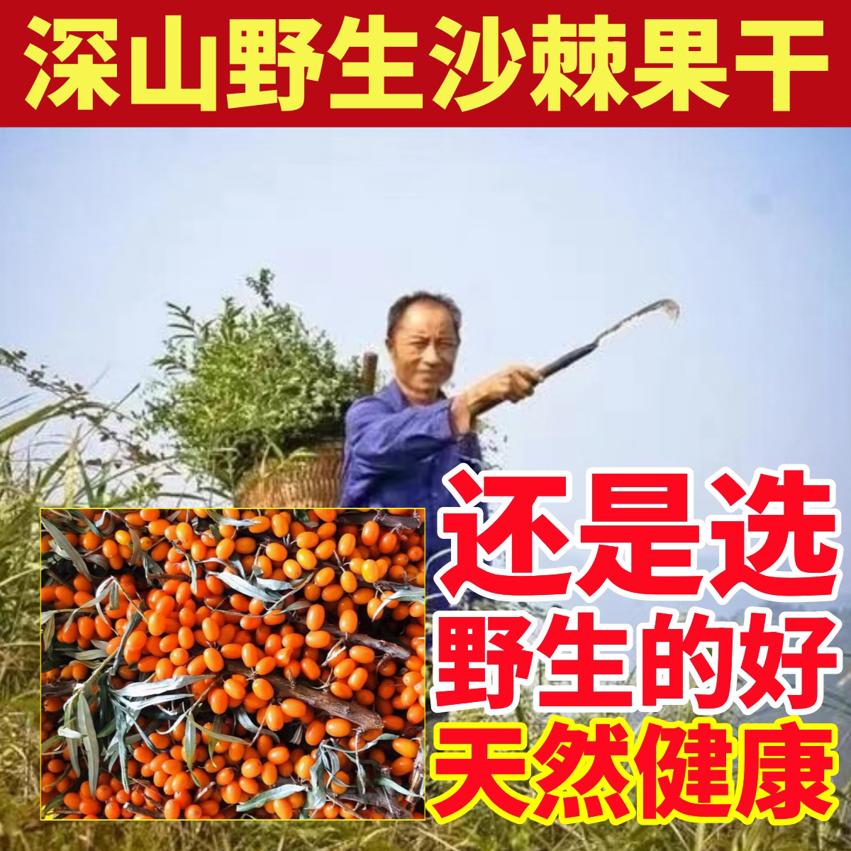 沙棘果深山纯野生沙棘果干纯天然中药材干果原浆有机鲜果片饮茶粉