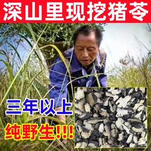 深山纯野生猪苓纯天然中药材猪苓汤正品去皮朱苓片粉正品猪苓批发