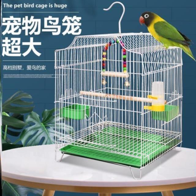 清仓大号鸟笼子虎皮玄风鹦鹉笼八哥笼金属鸟笼相思鸟家用养殖笼] 宠物/宠物食品及用品 鸟笼 原图主图