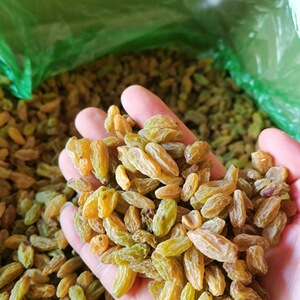 新疆绿葡萄干冰粉奶茶店专用烘培商用20斤大小颗粒葡萄干散装批发
