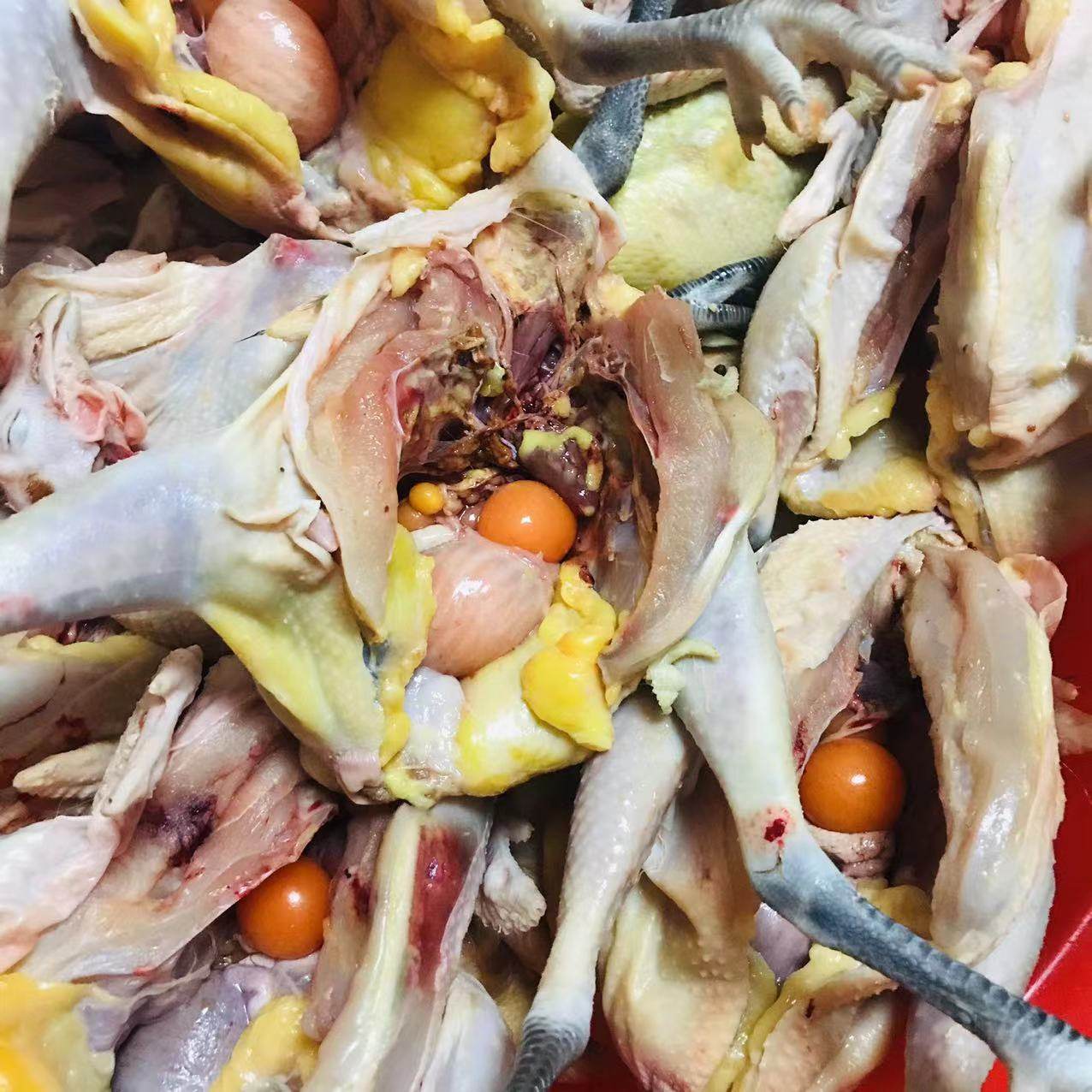 非烟熏湖北特产农家自制风干腊货年货腊鸡一只约重2斤包邮