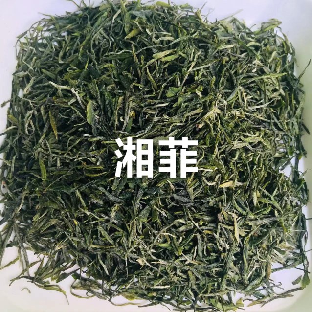 春茶红安名茶绿茶2023新茶毛尖老君眉茶叶500克红安眉茶礼盒包装