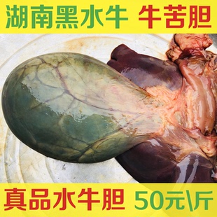 10元定金定制 食草水牛胆 新鲜牛胆 乡下散养水牛苦胆汁100克价格