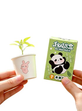 学生奖励小礼品DIY植物种