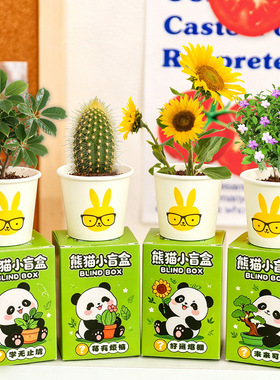 创意礼品套装种植盆栽生