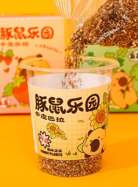 卡皮巴拉盆栽儿童种植小