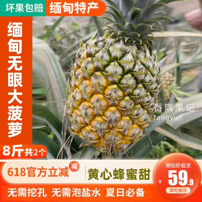 蜂蜜般的香甜缅甸无眼菠萝新品