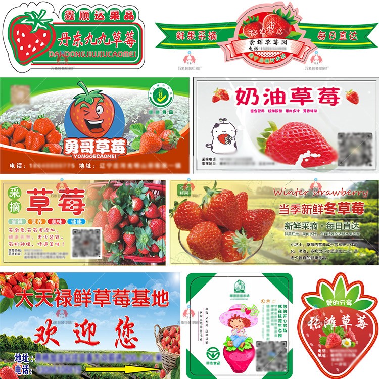 鲜果草莓标签有机草莓商标奶油草莓瓶贴草莓干logo草莓酒不干胶贴