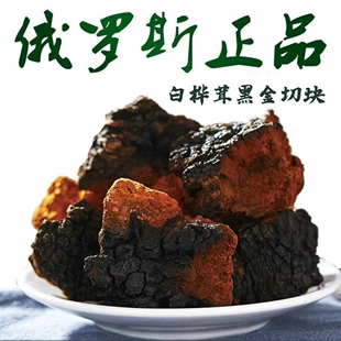 桦树茸黑皮块俄罗斯进口正品白桦茸原块野生桦褐孔菌天然胰岛素