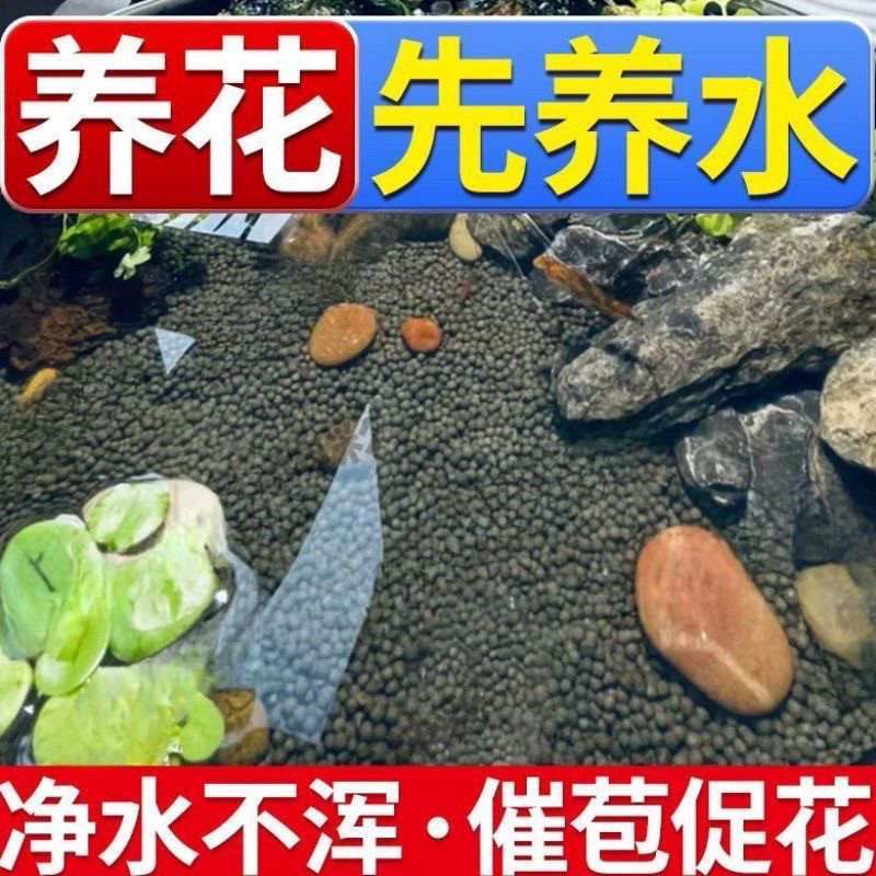碗莲专用水草泥碗莲高肥力陶粒睡莲水培植物造景营养臭水浑水鱼缸
