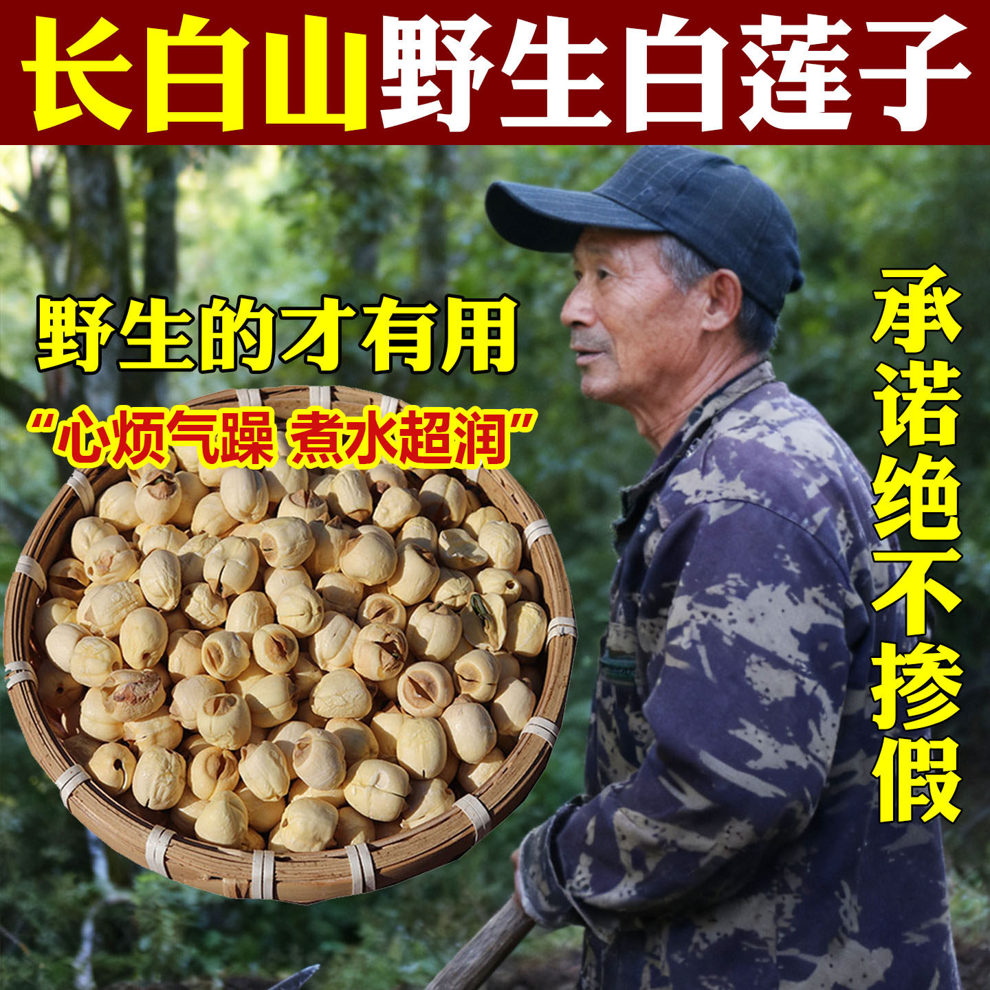 莲子中药材长白山白莲子自然晾晒手工去芯去皮莲子无硫熏莲子干货