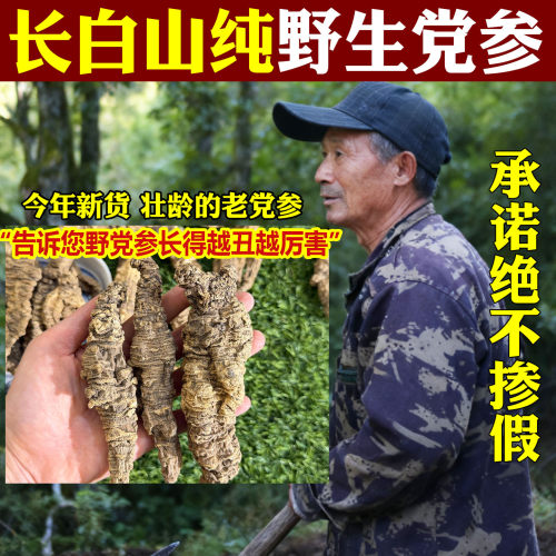 野生党参中药材农家无硫熏干货