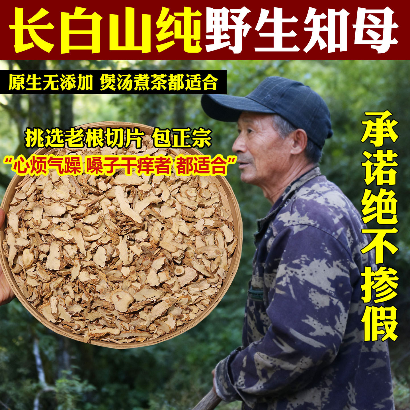 野生知母中药材东北肉知母新货无硫熏手工切片特级干货药用毛知母