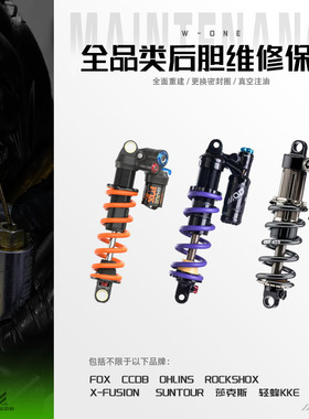 山地车自行车FOX RS速联 CCDB Ohlins BOS后胆多品牌避震维修保养