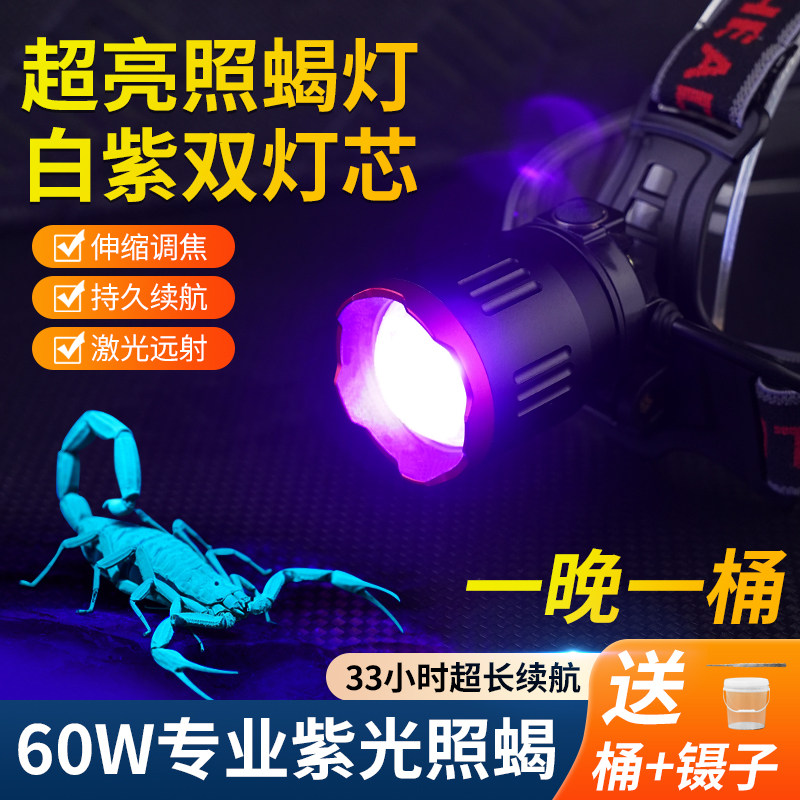 照蝎子专用灯强光头灯充电头戴式大功率超亮紫光超长续航感应
