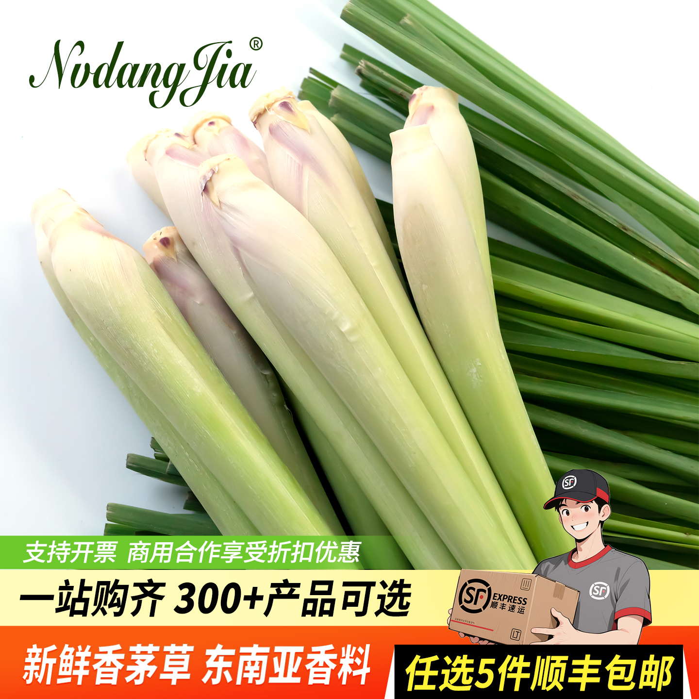 新鲜香茅草奶茶店用冬阴功汤泰式香料调味调料饮品制作香茅柠檬草
