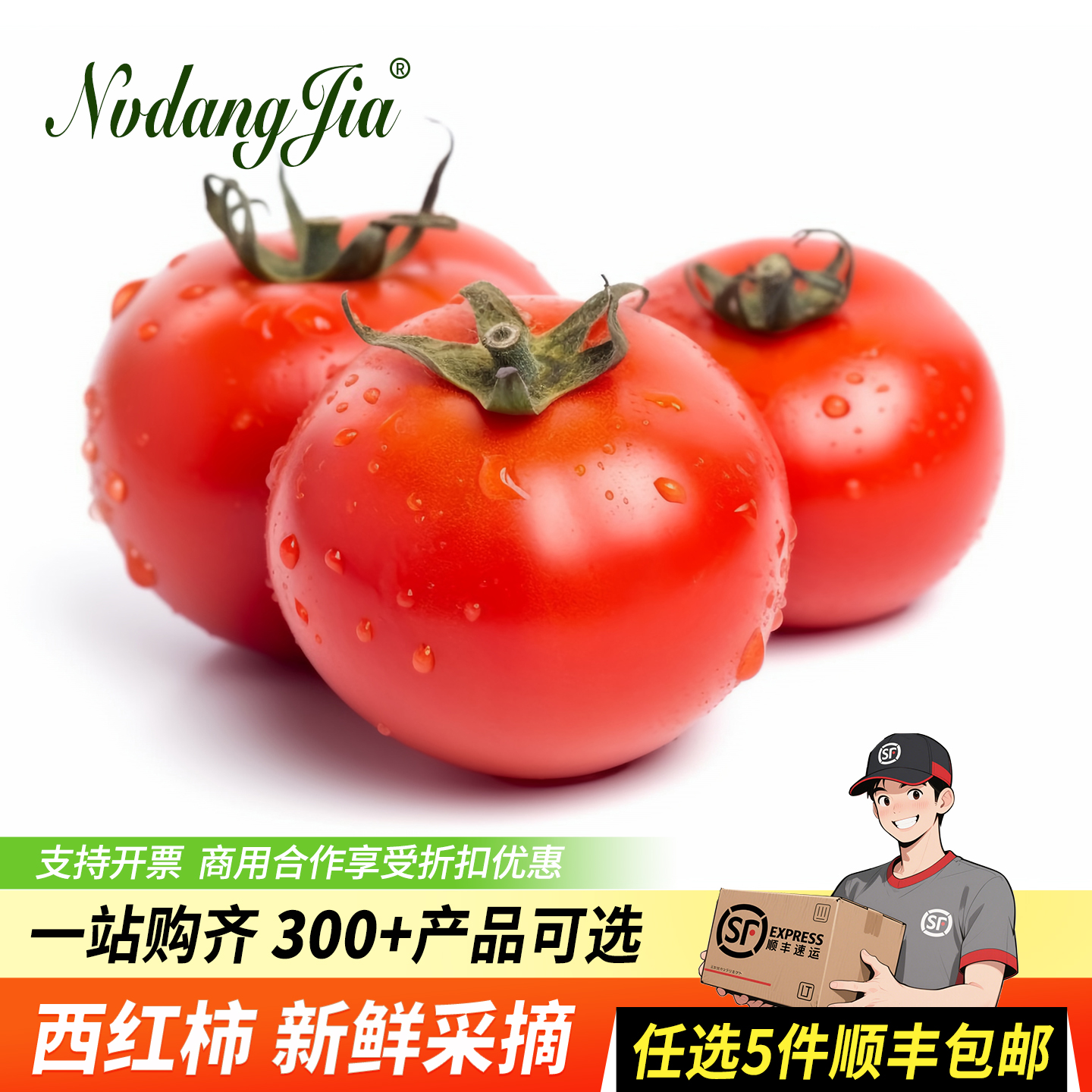 新鲜沙瓤西红柿自然数农家蔬菜