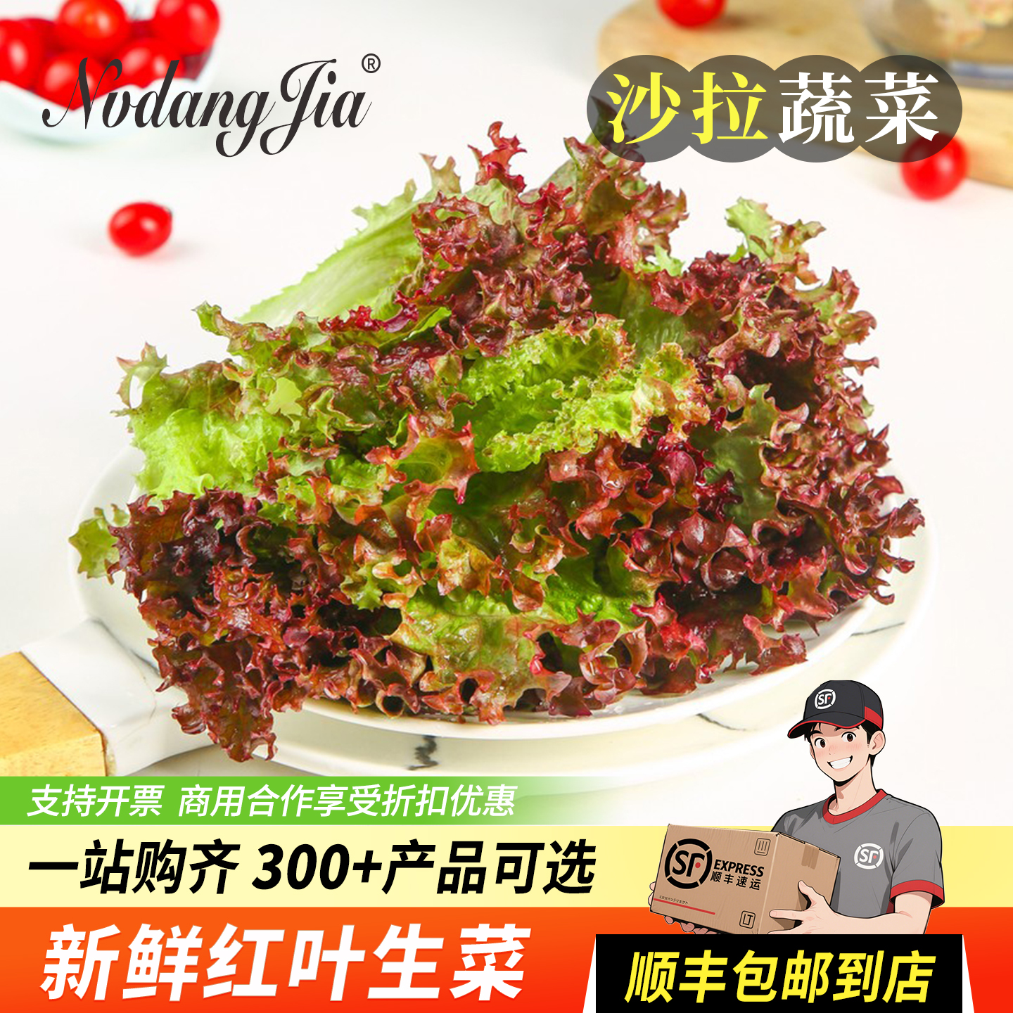 新鲜红叶生菜沙拉蔬菜轻食蔬菜