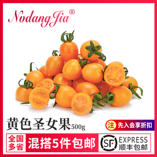 新鲜黄色圣女果500g 小番茄樱桃西红柿新鲜食材沙拉 水果黄色番茄