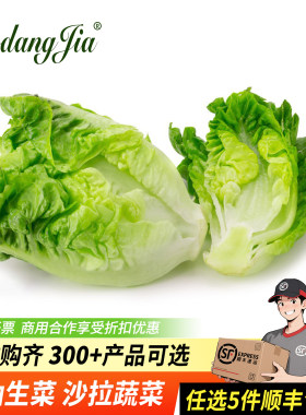 新鲜奶油生菜沙拉蔬菜西餐食材