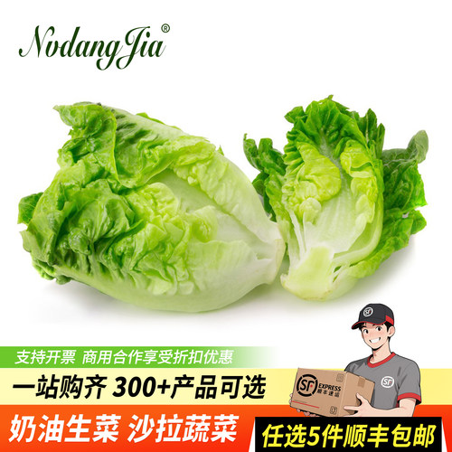 新鲜奶油生菜沙拉蔬菜西餐食材