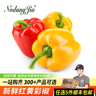 新鲜圆椒五彩椒柿子椒灯笼椒太空椒红椒黄绿椒水果椒红黄彩椒500g