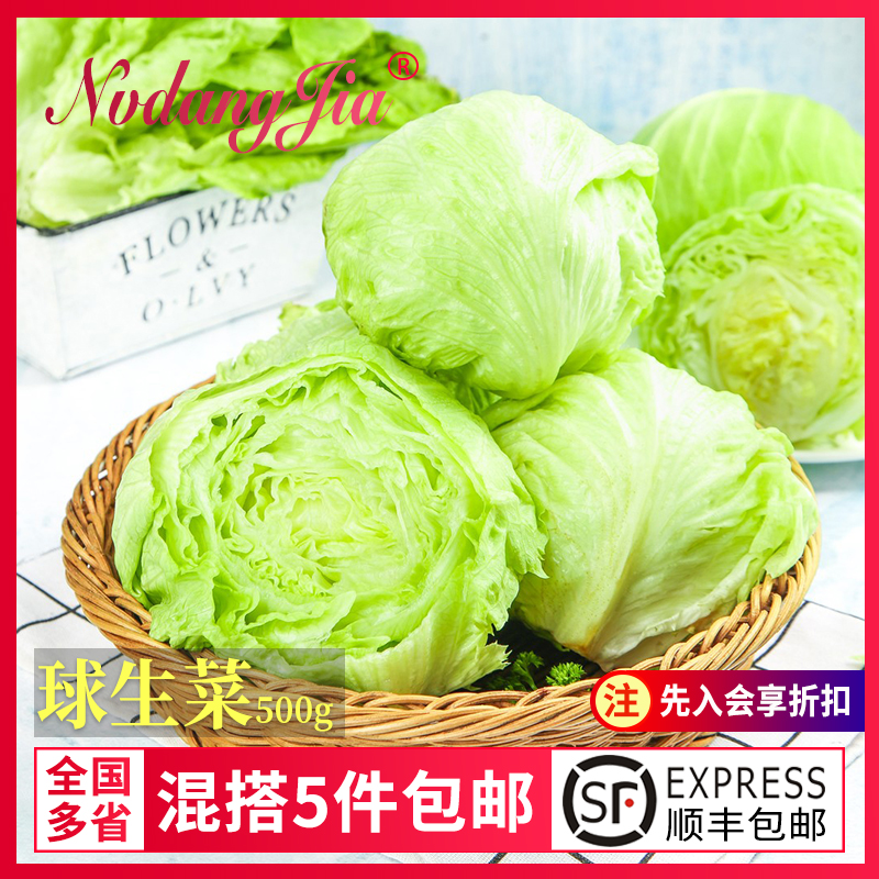 球生菜新鲜西生菜球包菜汉堡店蔬菜沙拉食材西餐圆形球生菜500g 水产肉类/新鲜蔬果/熟食 其它 原图主图