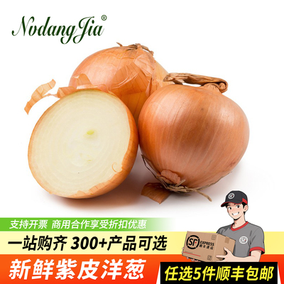 新鲜黄皮洋葱白洋葱西餐调料食材