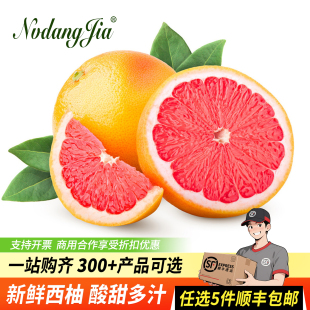 新鲜正宗南非红心西柚1个装 水果红肉西柚子 孕妇水果红葡萄柚当季