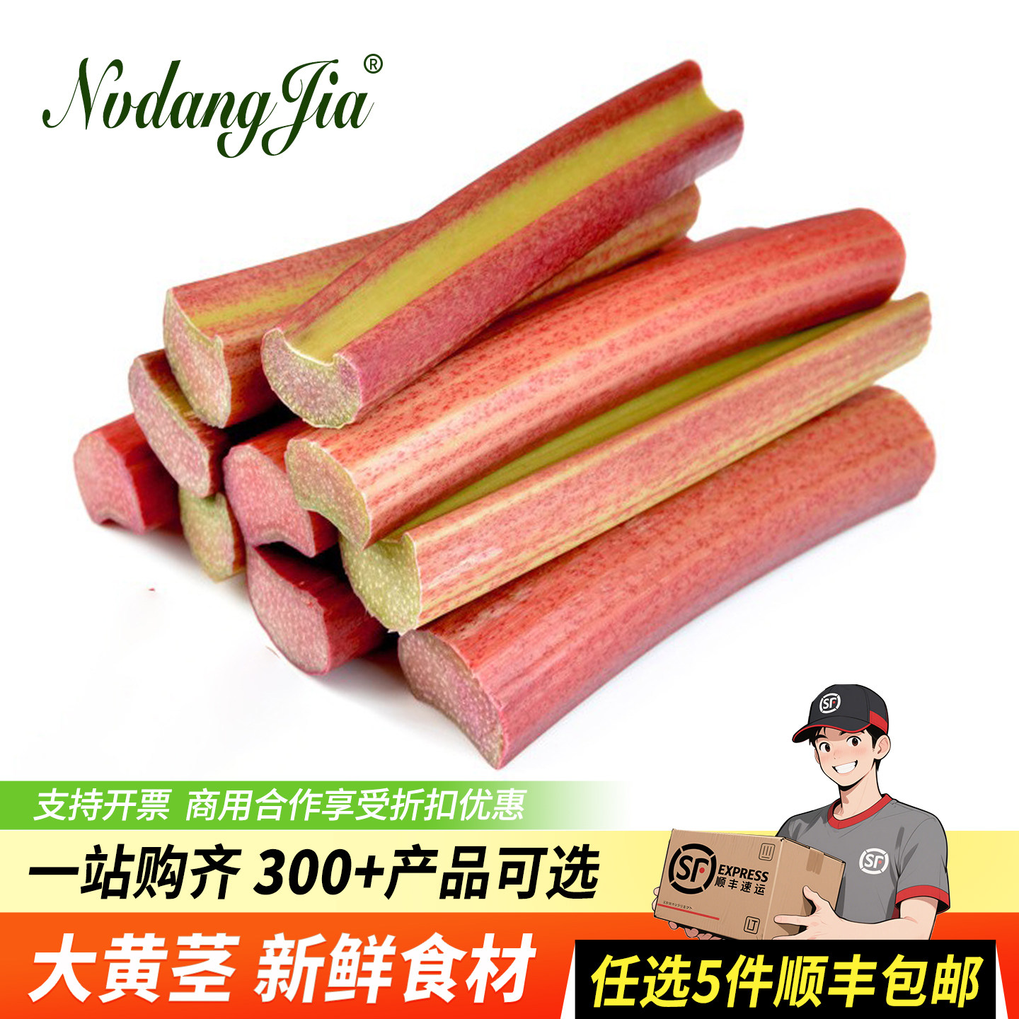 新鲜大黄茎500g 食用大黄Rhubarb低脂蔬菜西餐甜点派糕点沙拉酱果