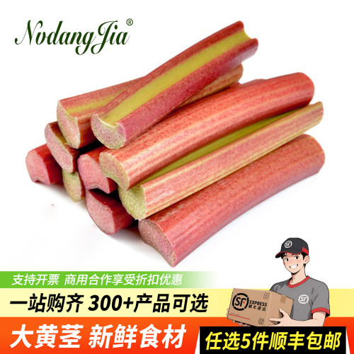 新鲜大黄茎食用西餐甜品原材料