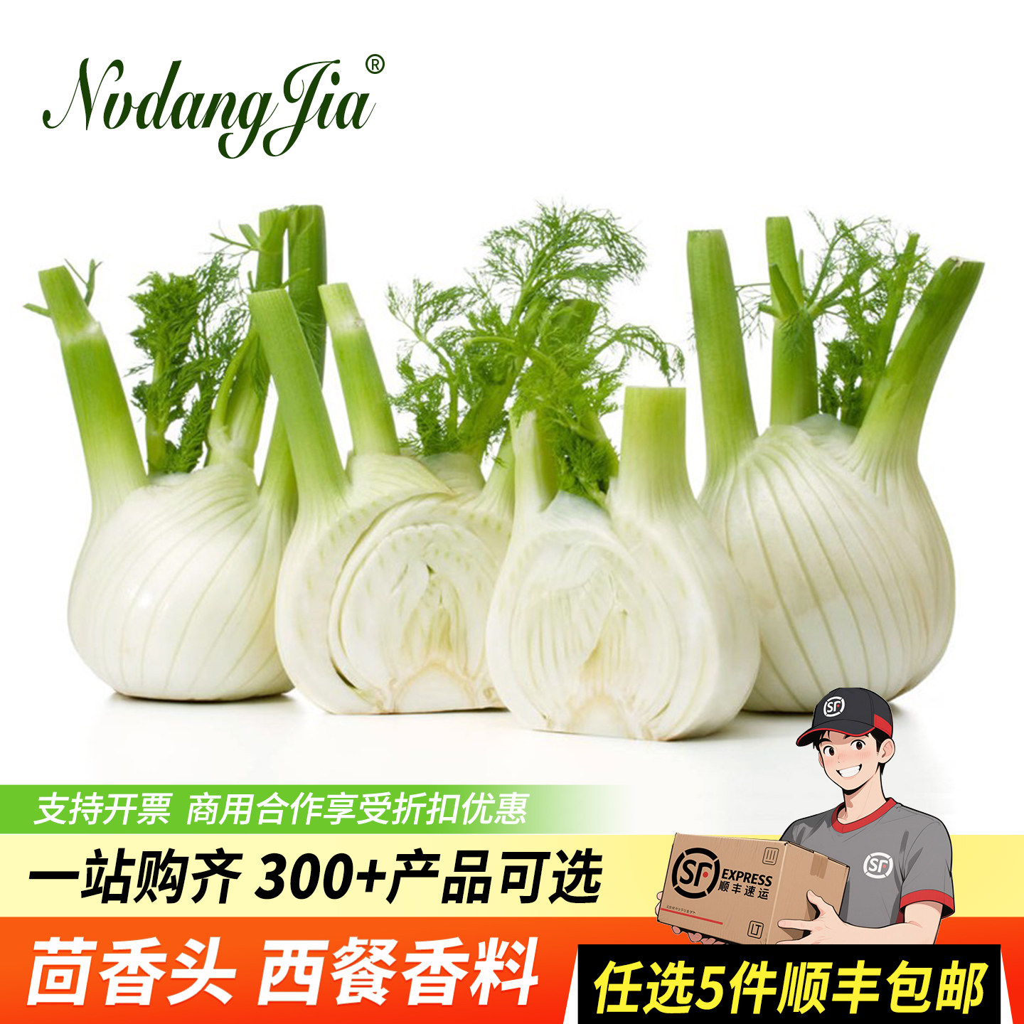 新鲜茴香头500g 香料菜西餐食材配料调料用品 球茎味浓茴香菜蔬菜