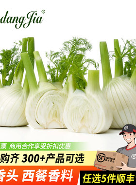 新鲜茴香头香料西餐食材调味料