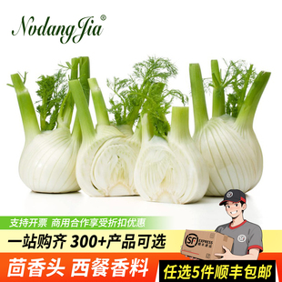 新鲜茴香头500g 香料菜西餐食材配料调料用品 球茎味浓茴香菜蔬菜