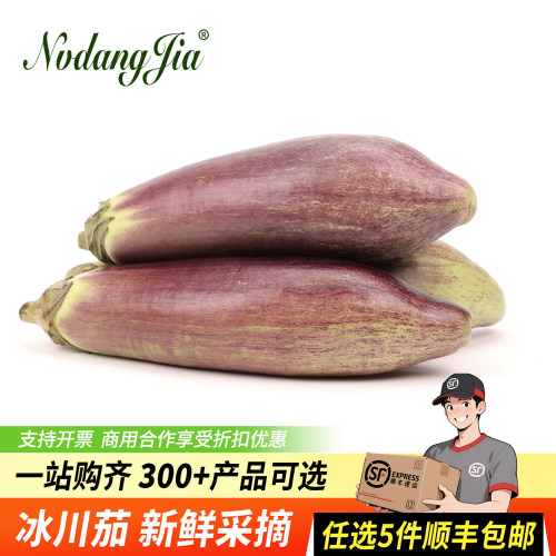 云南冰川茄子新鲜蔬菜糯茄长茄子