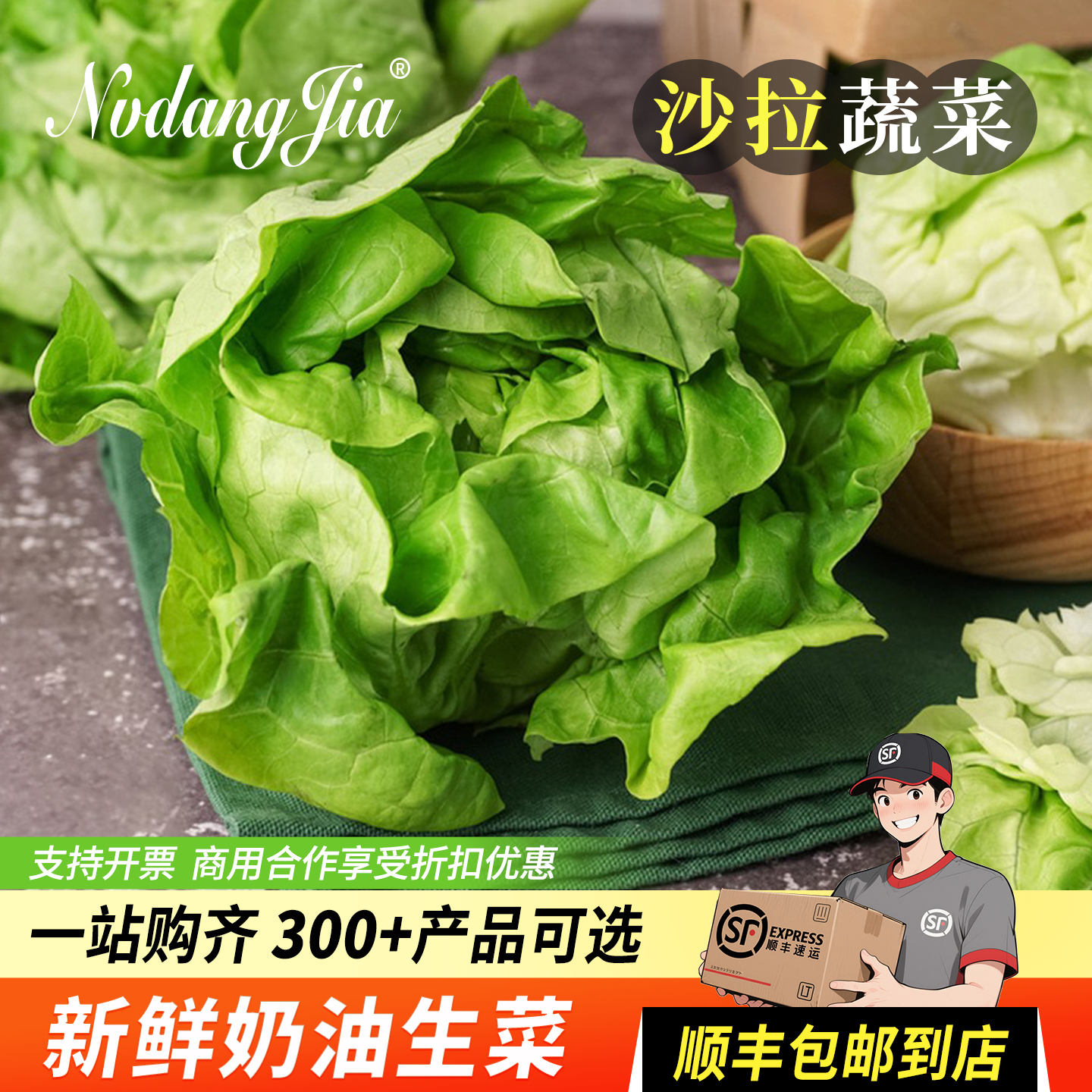 波斯顿奶油生菜新鲜沙拉蔬菜轻食色拉脆嫩西餐食材牛油生菜包邮