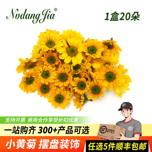 新鲜小黄菊黄雏菊小菊花小雏菊
