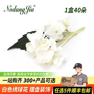 白色绣球花新鲜纯白绣球白鲜花西餐日料摆盘烘焙蛋糕装饰花草鲜花