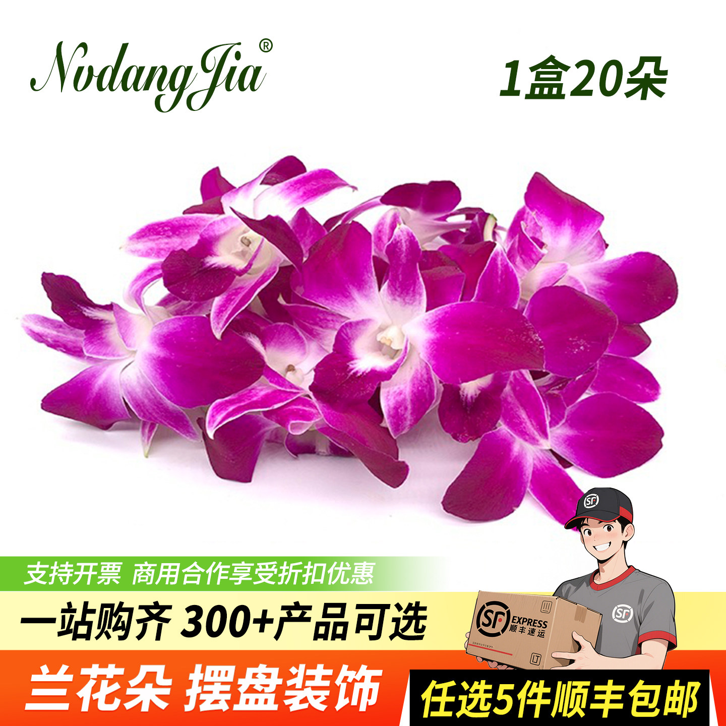 新鲜洋兰花杨兰花马兰花火锅酒店西餐日料烘焙蛋糕摆盘装饰鲜花