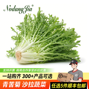 苦菊生菜新鲜蔬菜沙拉苦细叶即食生菜轻食沙拉食材西餐苦苣生菜