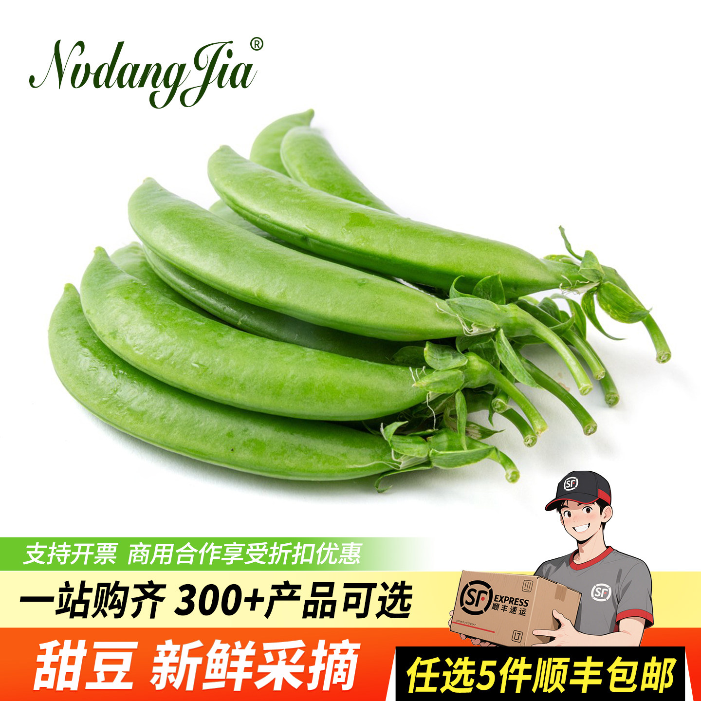 新鲜甜豆豌豆现摘现发农家自家种脆甜鲜嫩荷兰豆碗豆餐厅酒店蔬菜