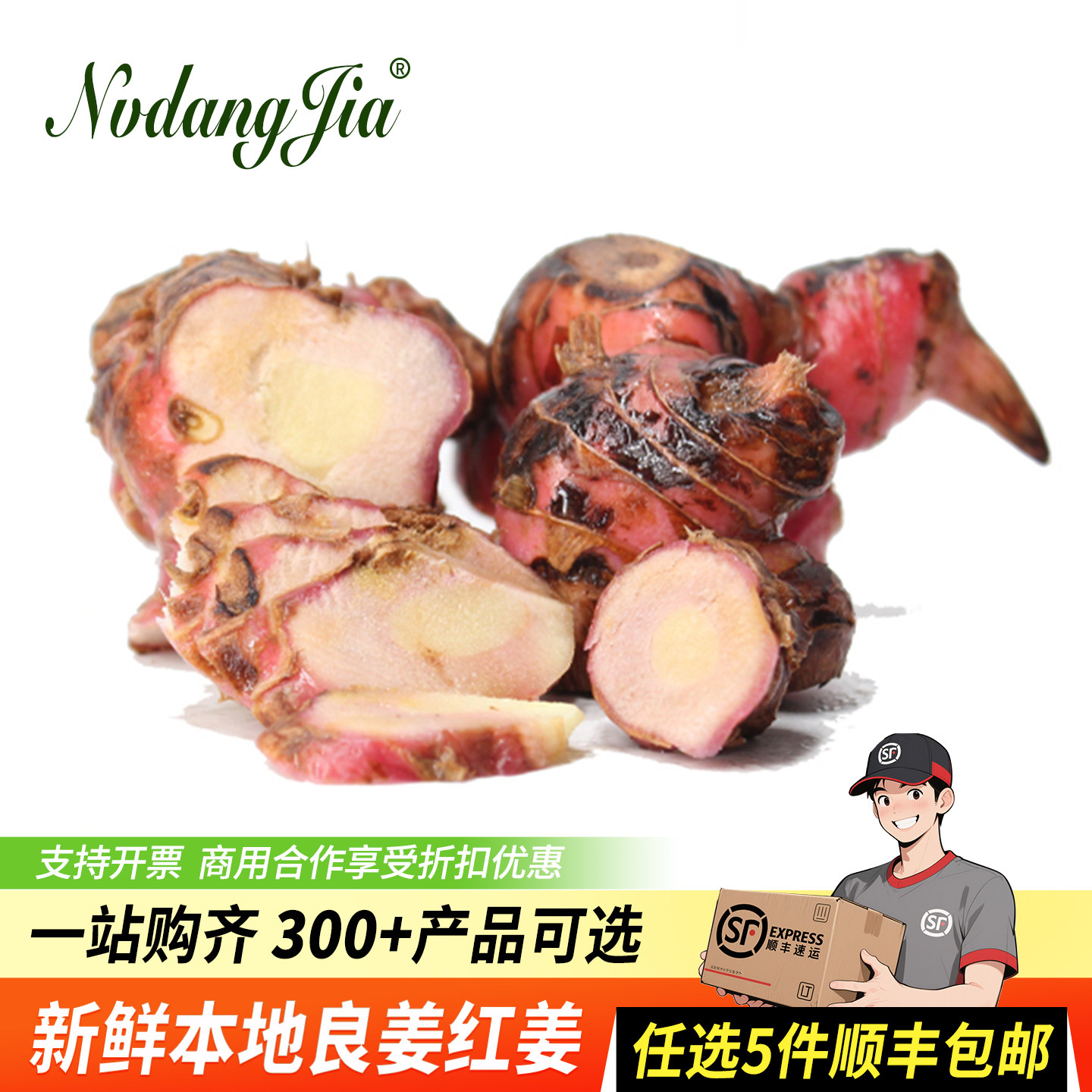新鲜潮汕红皮南姜去膻调味图片