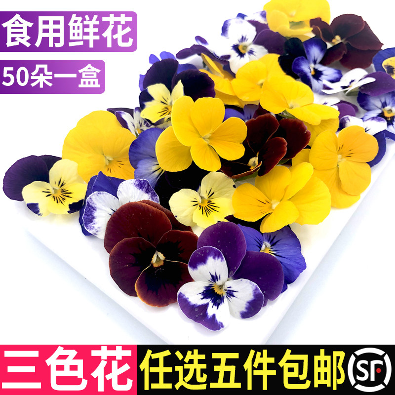Fresh pansy 50 Flowers/box Three color flower edible flower hotel Western Wobble baking decorate Ornamentin the Aquatic meat/Fresh fruits and vegetables/Cooked , Fresh vegetables/Vegetable products , Fresh vegetables , Other  category - from Buy2taobao.com to provide professional Taobao agent buy service