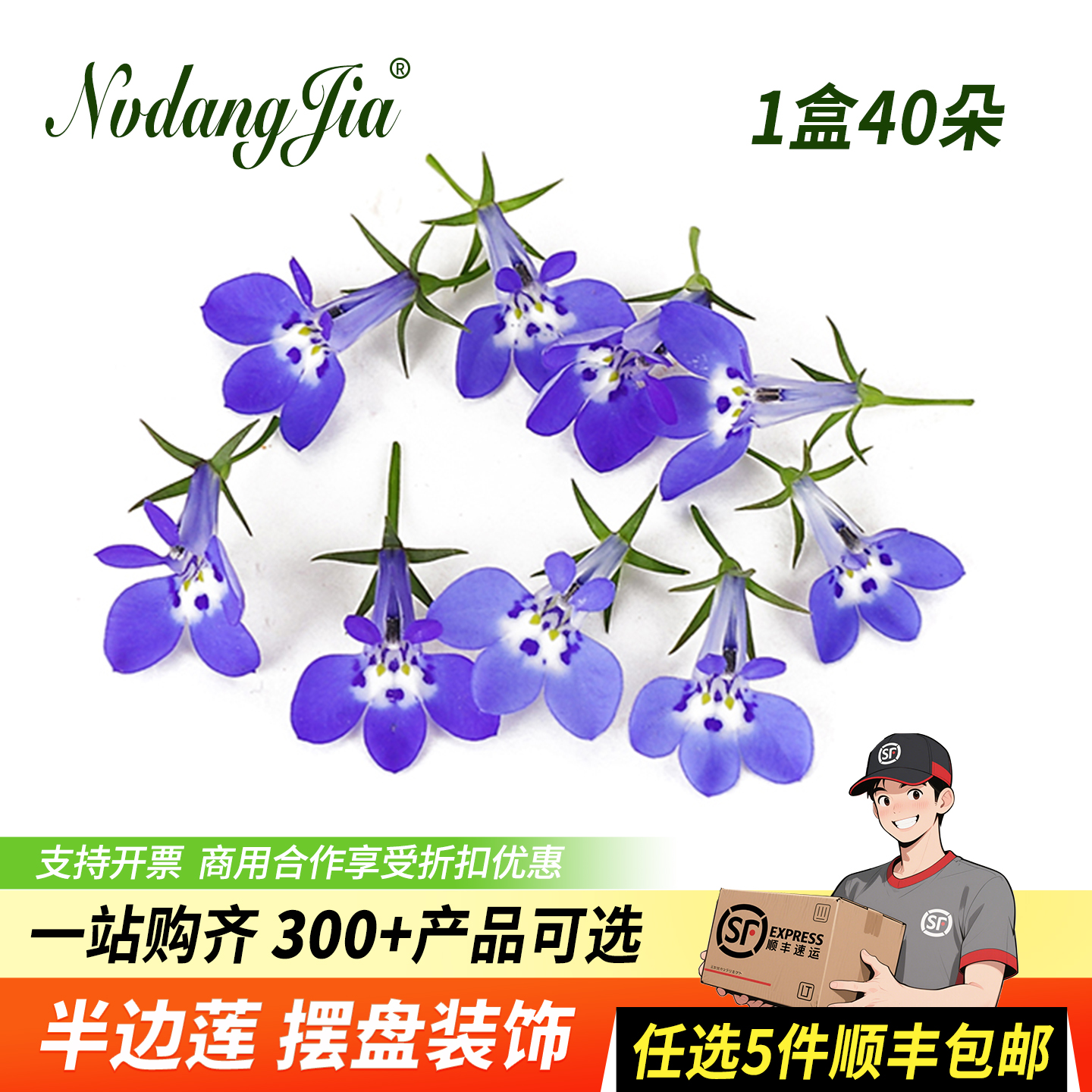 新鲜半边莲兰星花六倍利摆盘装饰