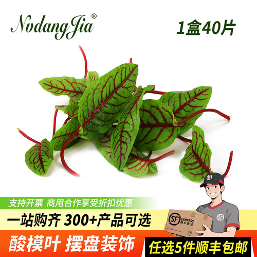 新鲜酸模叶食用花草西餐日料摆盘