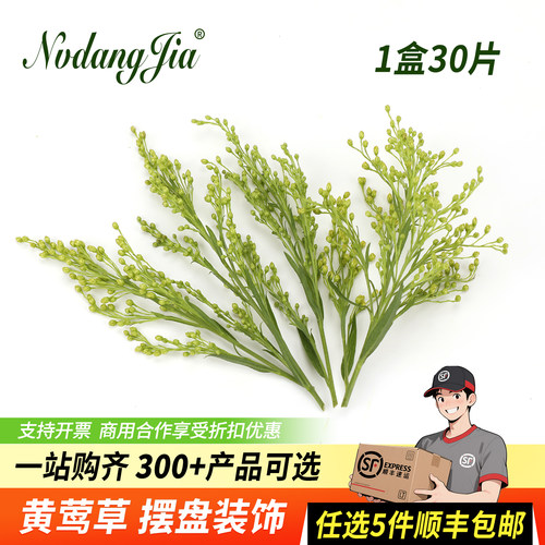 新鲜黄莺草西餐烘焙蛋糕装饰花草