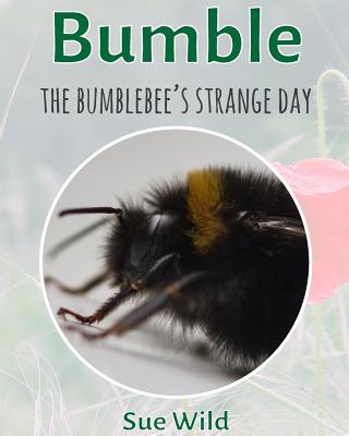 the bumble bee,bumblebee 【预售】bumble: the bumblebee"s strange day